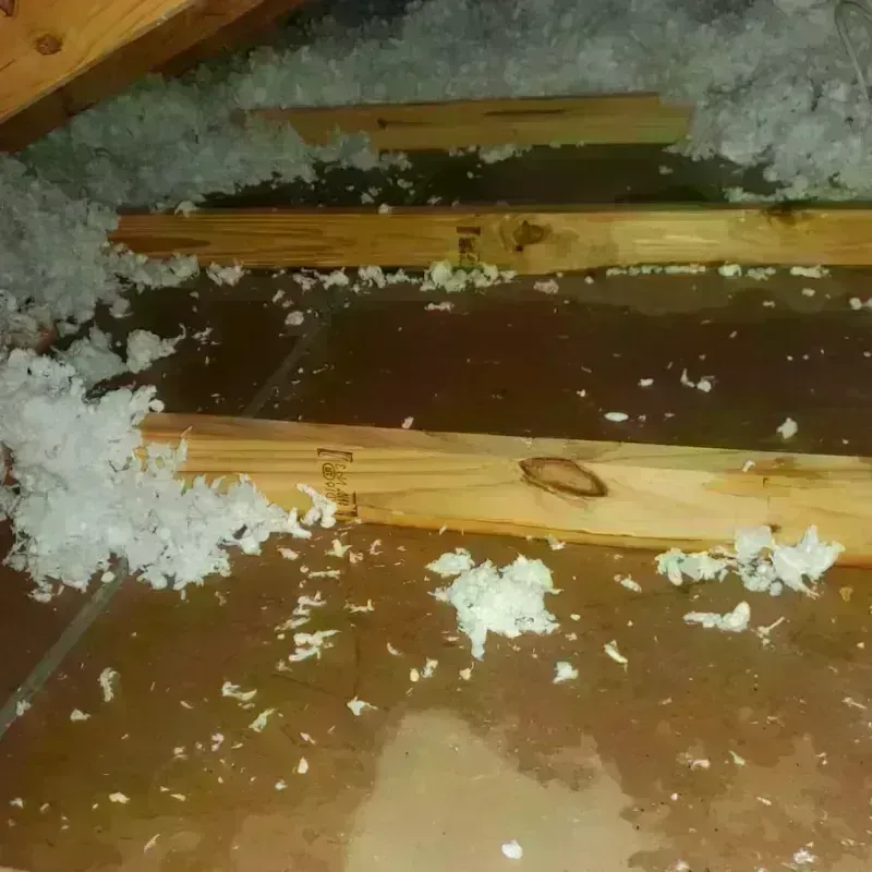 Attic Water Damage in Mono County, CA