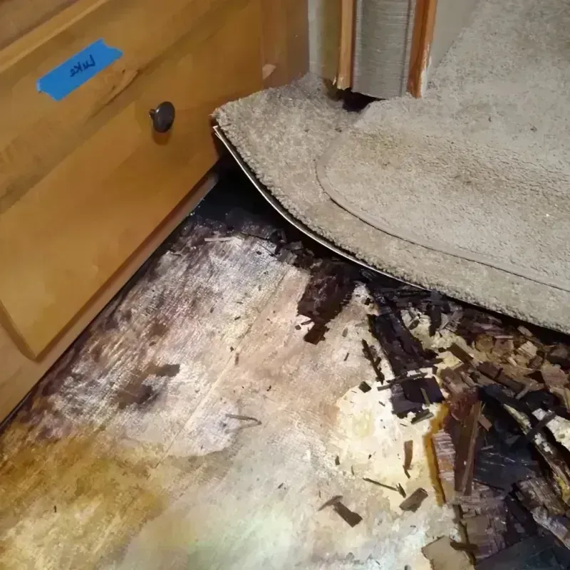 Wood Floor Water Damage in Mono County, CA